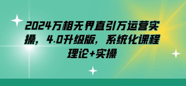 2024万相无界直引万运营实操，4.0升级版，系统化课程 理论+实操-点子口袋网