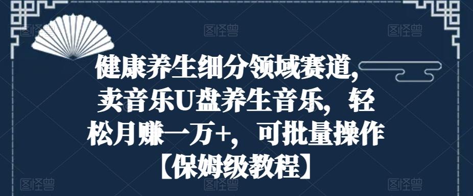 健康养生细分领域赛道，卖音乐U盘养生音乐，轻松月赚一万+，可批量操作【保姆级教程】-点子口袋网