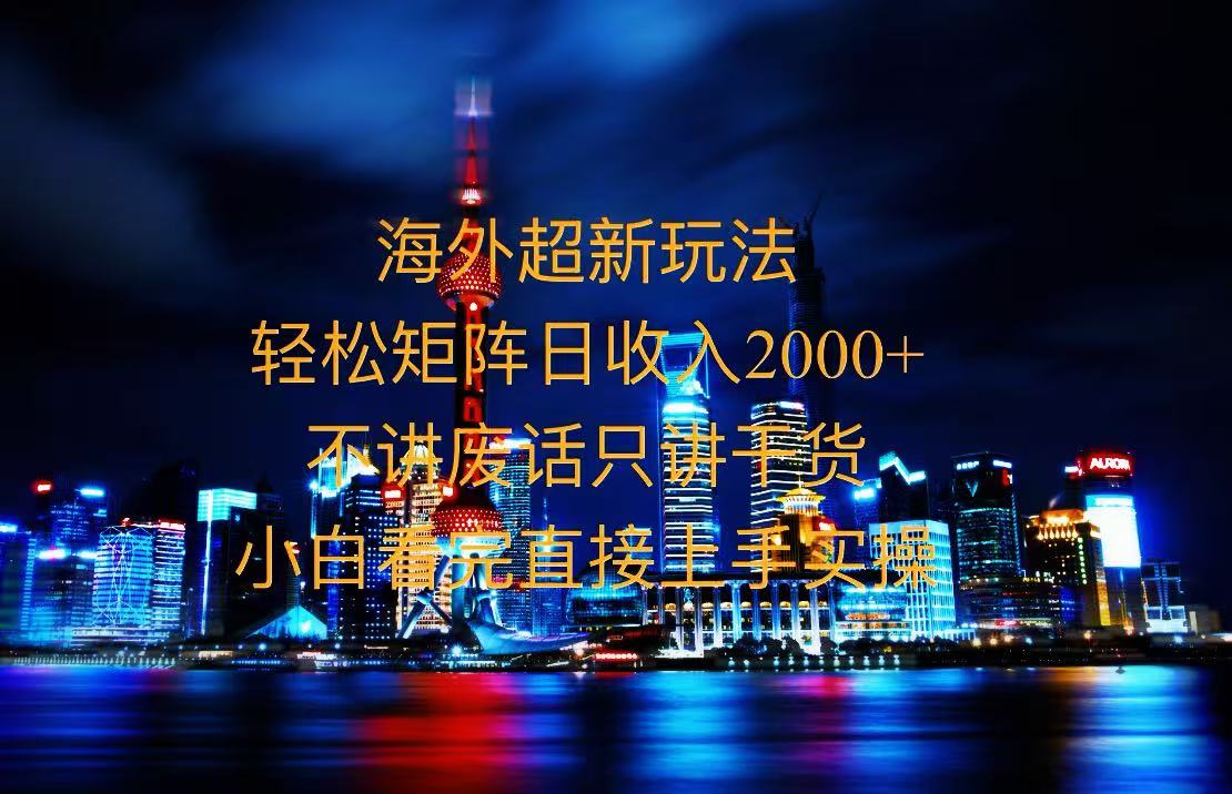 2025全新海外暴力玩法，操作简单，小白轻松上手-点子口袋网