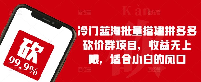 冷门蓝海批量搭建拼多多砍价群项目，收益无上限，适合小白的风口【揭秘】-点子口袋网