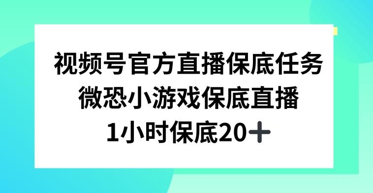 视频号直播任务，微恐小游戏，1小时20+【揭秘】-点子口袋网