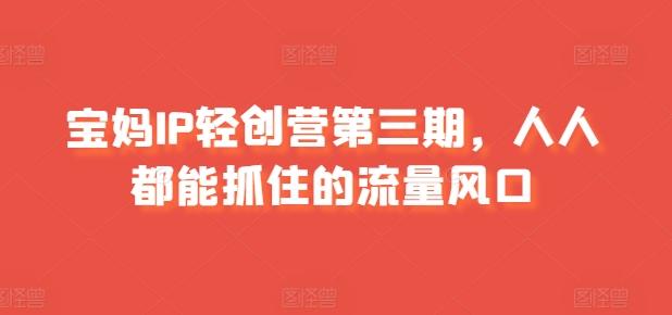 宝妈IP轻创营第三期，人人都能抓住的流量风口-点子口袋网