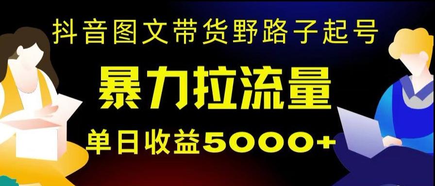 抖音图文带货暴力起号，单日收益5000+，野路子玩法，简单易上手，一部手机即可【揭秘】-点子口袋网
