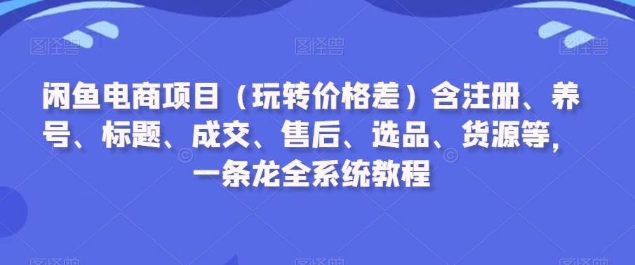 闲鱼电商项目(玩转价格差)含注册、养号、标题、成交、售后、选品、货源等，一条龙全系统教程-点子口袋网