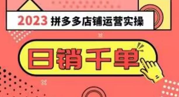 2023拼多多运营实操，每天30分钟日销1000＋，爆款选品技巧大全（10节课）-点子口袋网