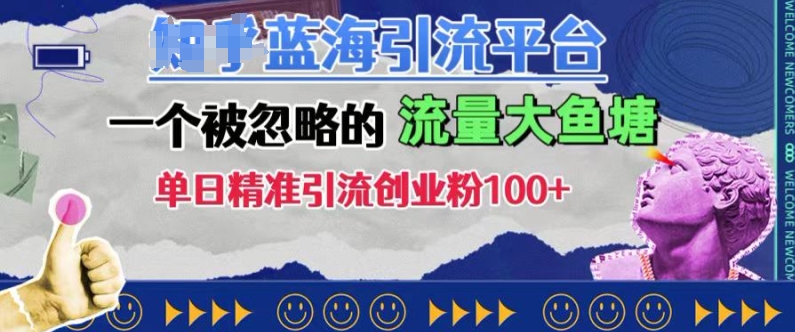 豆瓣蓝海引流平台，一个被忽略的流量大鱼塘，单日精准引流创业粉100+-点子口袋网