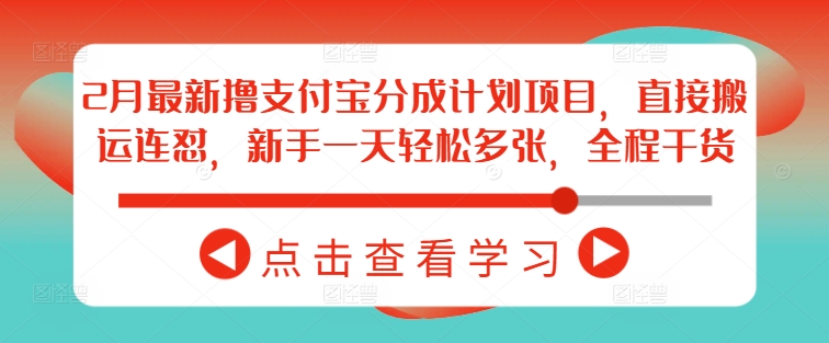 2月最新撸支付宝分成计划项目，直接搬运连怼，新手一天轻松多张，全程干货-点子口袋网