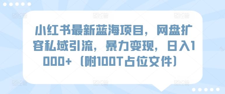 小红书最新蓝海项目，网盘扩容私域引流，暴力变现，日入1000+(附100T占位文件)【揭秘】-点子口袋网