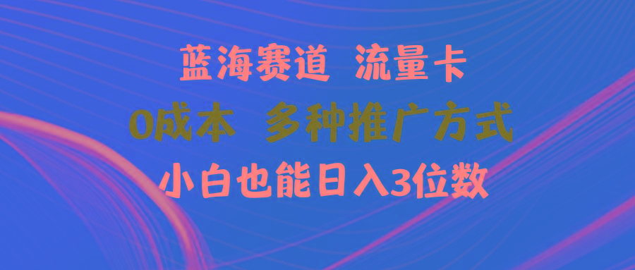 蓝海赛道 流量卡 0成本 小白也能日入三位数-点子口袋网