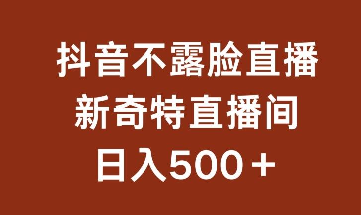 不露脸挂机直播，新奇特直播间，日入500+【揭秘】-点子口袋网