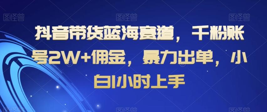 抖音带货蓝海赛道，千粉账号2W+佣金，暴力出单，小白1小时上手【揭秘】-点子口袋网