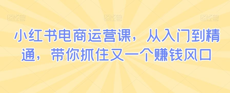 小红书电商运营课，从入门到精通，带你抓住又一个赚钱风口-点子口袋网