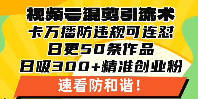 视频号混剪引流技术，500万播放引流17000创业粉，操作简单当天学会-点子口袋网