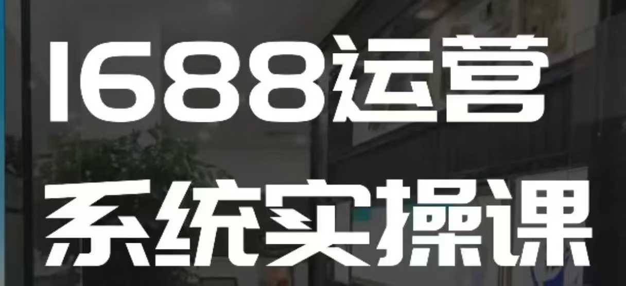 1688高阶运营系统实操课，快速掌握1688店铺运营的核心玩法-点子口袋网