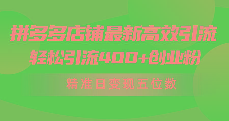 (10041期)拼多多店铺最新高效引流术，轻松引流400+创业粉，精准日变现五位数！-点子口袋网
