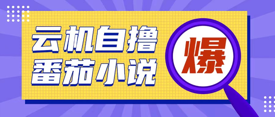 首发云手机自撸小说玩法，10块钱成本可撸200+收益操作简单【揭秘】-点子口袋网