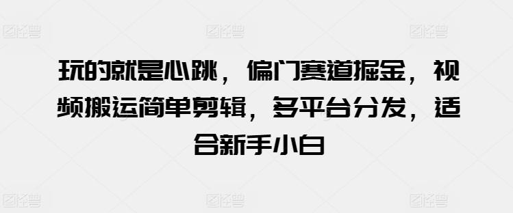 玩的就是心跳，偏门赛道掘金，视频搬运简单剪辑，多平台分发，适合新手小白【揭秘】-点子口袋网