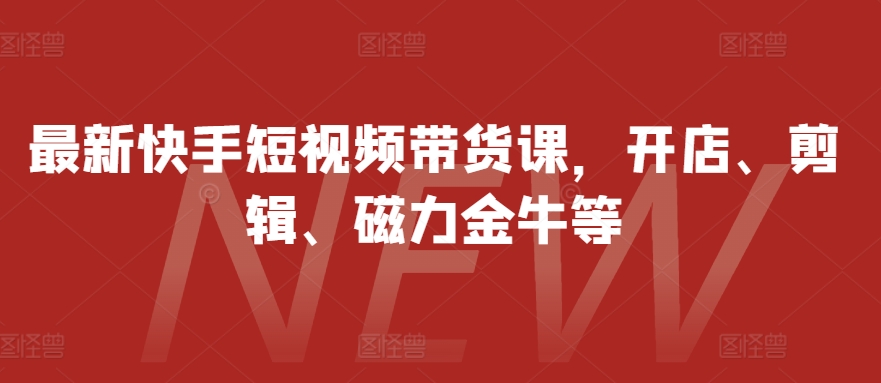 最新快手短视频带货课，开店、剪辑、磁力金牛等-点子口袋网