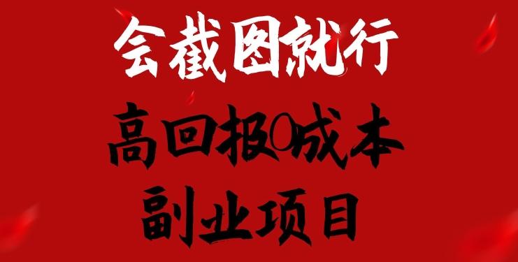 会截图就行，高回报0成本副业项目，卖离婚模板一天1.5k+【揭秘】-点子口袋网