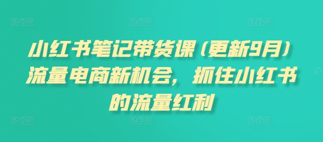 小红书笔记带货课(更新9月)流量电商新机会，抓住小红书的流量红利-点子口袋网