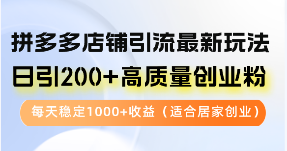 拼多多店铺引流最新玩法，日引200+高质量创业粉，每天稳定1000+收益(...-点子口袋网