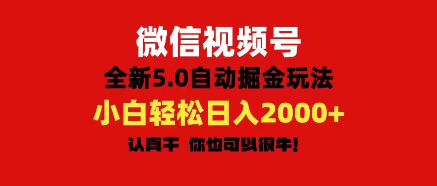 微信视频号变现，5.0全新自动掘金玩法，日入利润2000+有手就行-点子口袋网