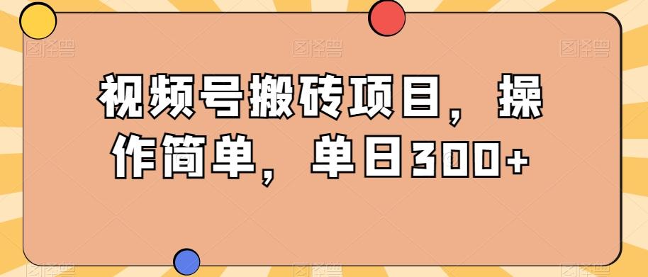 视频号搬砖项目，操作简单，单日300+-点子口袋网