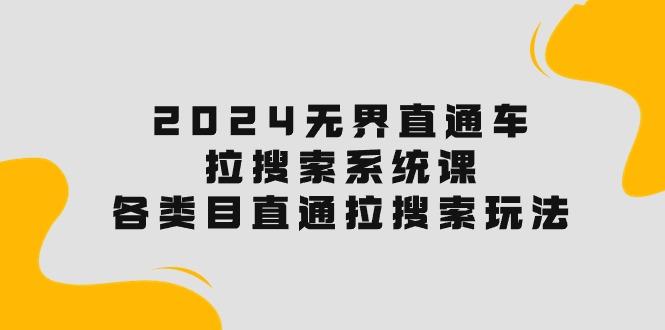 2024无界直通车·拉搜索系统课：各类目直通车 拉搜索玩法！-点子口袋网