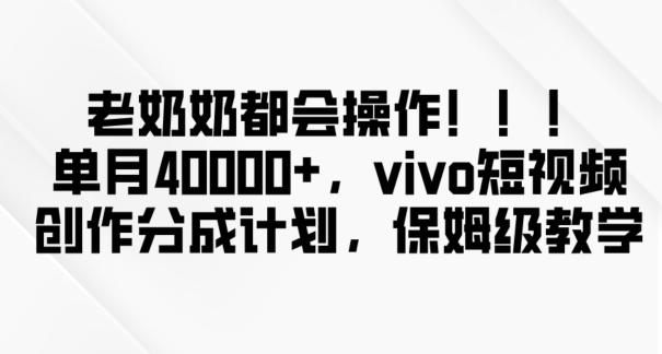 老奶奶都会操作，新平台无脑操作，单月40000+，vivo短视频创作分成计划【揭秘】-点子口袋网