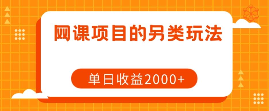 网课项目的另类玩法，单日收益2000+【揭秘】-点子口袋网