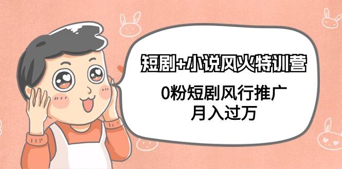(9374期)短剧+小说风火特训营，0粉短剧风行推广，月入过万(102节课)-点子口袋网