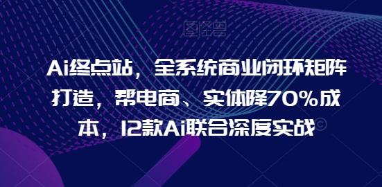 Ai终点站，全系统商业闭环矩阵打造，帮电商、实体降70%成本，12款Ai联合深度实战-点子口袋网