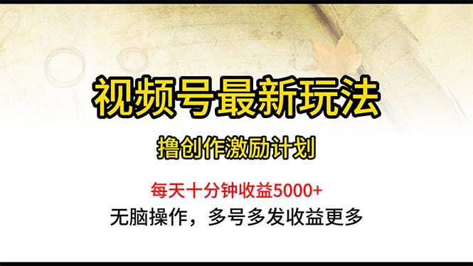 视频号最新玩法，每日一小时月入5000+-点子口袋网