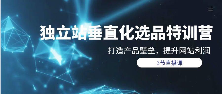 (9925期)独立站-垂直化选品训练营，打造产品壁垒，提升网站利润(3节直播课)-点子口袋网
