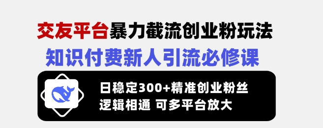 交友平台暴力截流创业粉玩法，知识付费新人引流必修课，日稳定300+精准创业粉丝，逻辑相通可多平台放大-点子口袋网