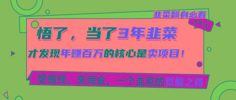 悟了，当了3年韭菜，才发现网赚圈年赚100万的核心是卖项目，含泪分享！-点子口袋网