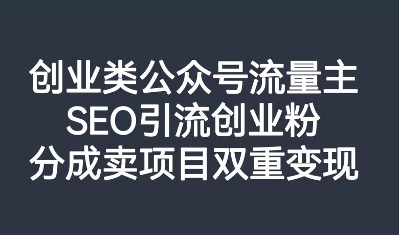 创业类公众号流量主，SEO引流创业粉，分成卖项目双重变现【揭秘】-点子口袋网