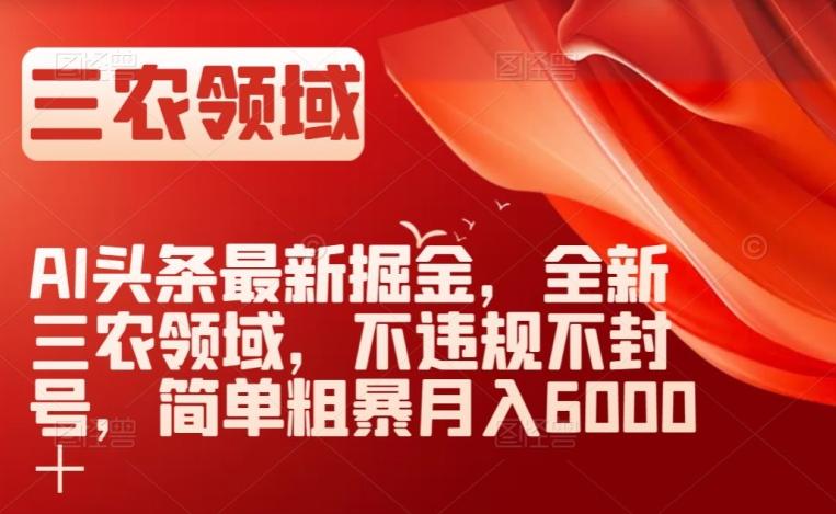 AI头条最新掘金，全新三农领域，不违规不封号，简单粗暴月入6000＋【揭秘】-点子口袋网