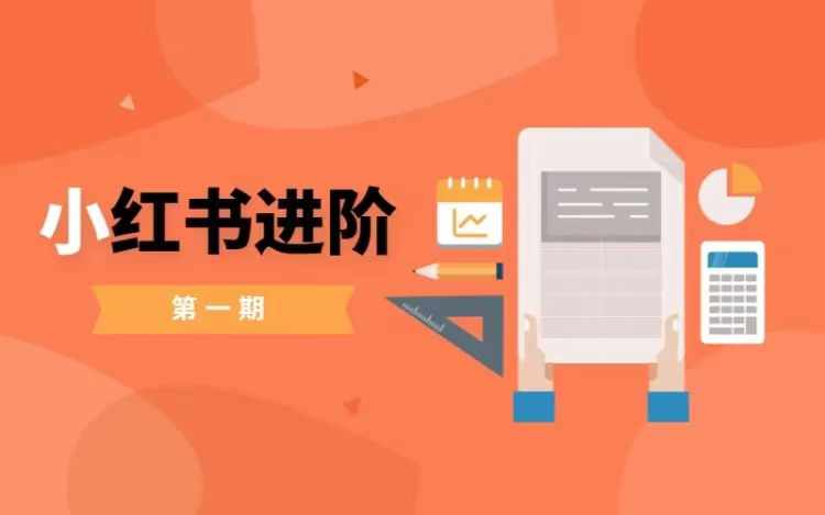 小红书进阶篇，零基础小白实战课，普通人变现的课程-点子口袋网