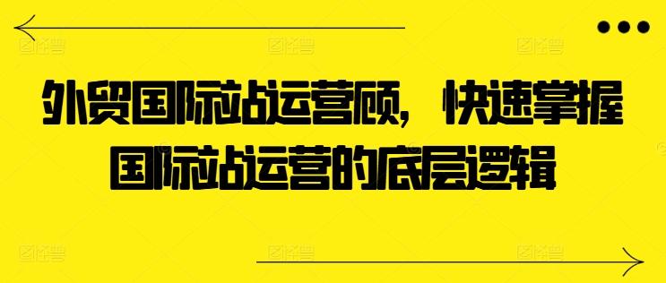 外贸国际站运营顾问，快速掌握国际站运营的底层逻辑-点子口袋网
