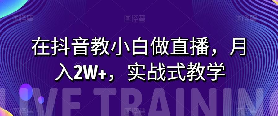 在抖音教小白做直播，月入2W+，实战式教学【揭秘】-点子口袋网