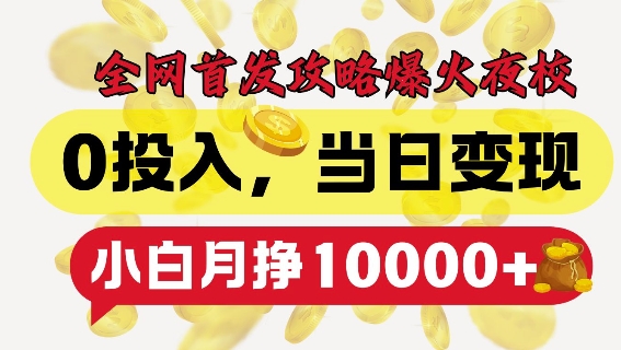全网首发爆火夜校，0投入，当日变现，小白轻松月入1w+【揭秘】-点子口袋网