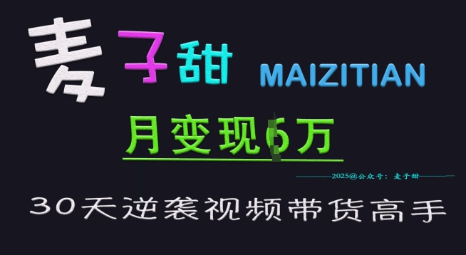 麦子甜30天逆袭视频带货高手，单月变现6W加特训营-点子口袋网