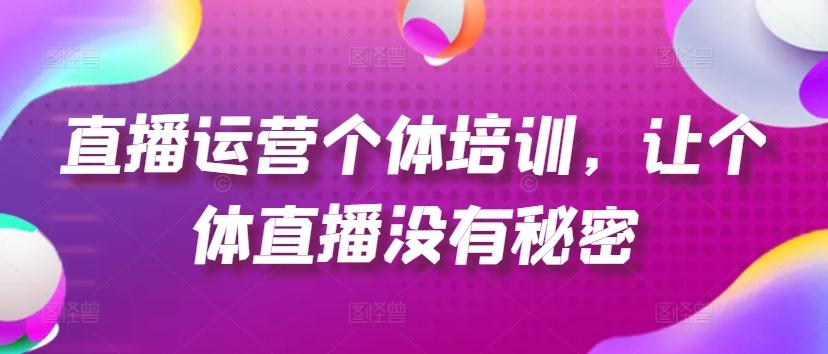 直播运营个体培训，让个体直播没有秘密，起号、货源、单品打爆、投流等玩法-点子口袋网