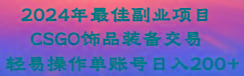 2024年最佳副业项目 CSGO饰品装备交易 轻易操作单账号日入200+-点子口袋网