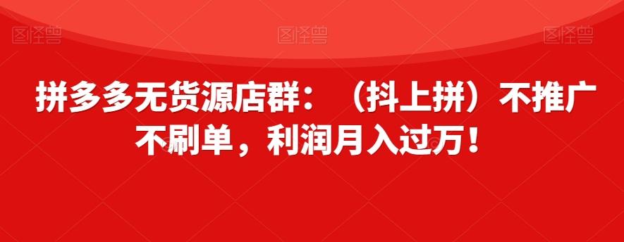 拼多多无货源店群：（抖上拼）不推广不刷单，利润月入过万！【揭秘】-点子口袋网