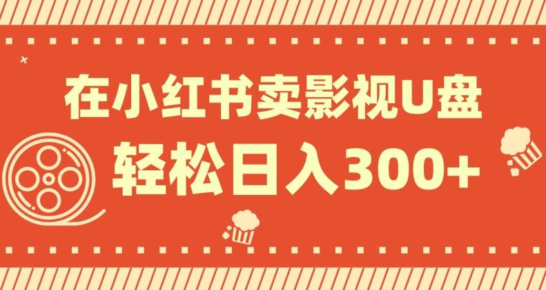 在小红书上卖影视U盘，轻松日入300+，操作简单，小白可轻松上手-点子口袋网