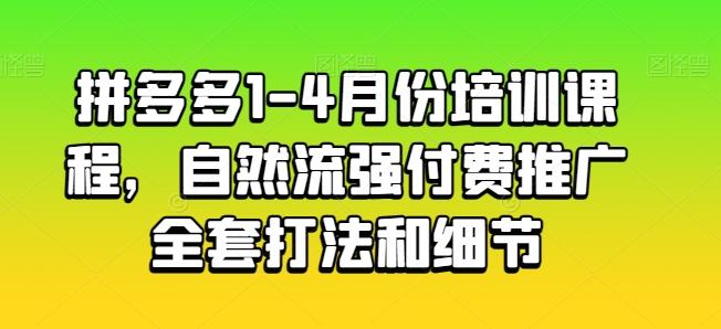 拼多多1-4月份培训课程，自然流强付费推广全套打法和细节-点子口袋网