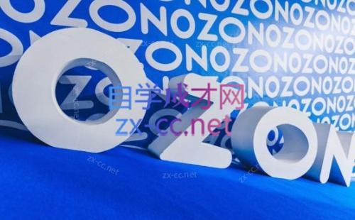 森哥·出海俄罗斯电商实操(2024)-点子口袋网