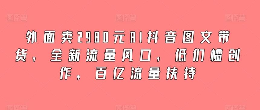 外面卖2980元AI抖音图文带货，全新流量风口，低们槛创作，百亿流量扶持-点子口袋网